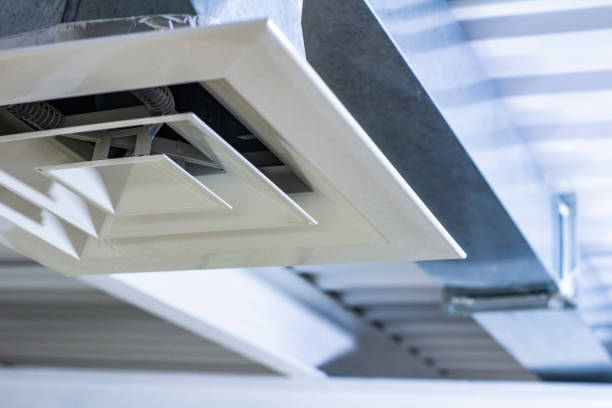 Best HVAC Air Duct Cleaning  in Vassar, MI