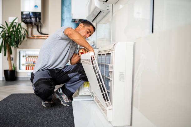 Best HVAC Maintenance and Cleaning  in Vassar, MI