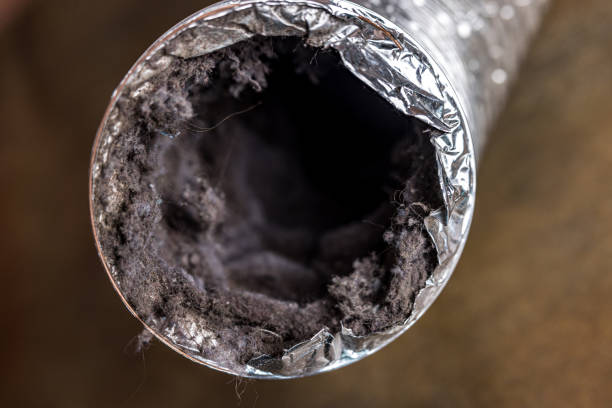 Best Dryer Vent Cleaning Services  in Vassar, MI