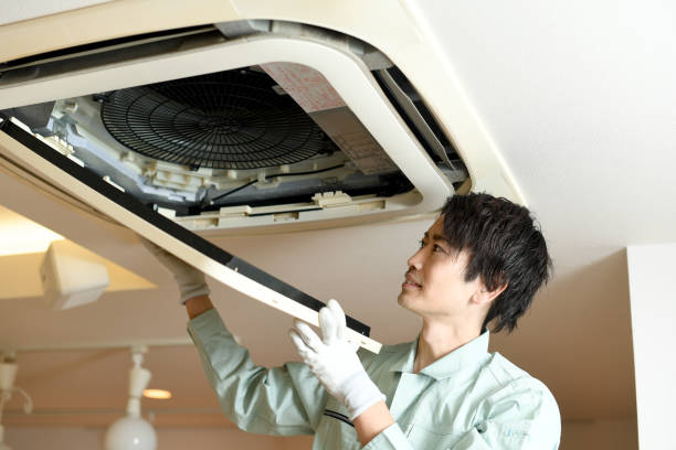 Best Ductwork Cleaning Services  in Vassar, MI