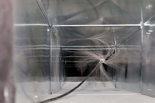 Best Ductwork Cleaning Services  in Vassar, MI