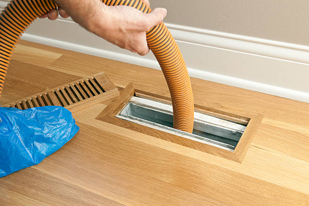 Best Air Vent Cleaning Services  in Vassar, MI