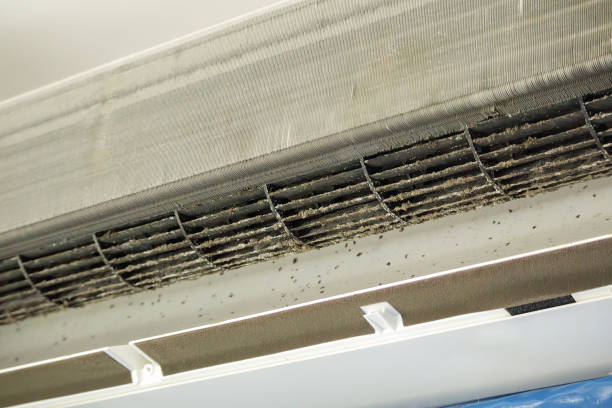 Best Local Air Duct Cleaning Services  in Vassar, MI