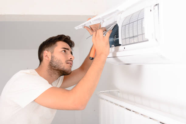 Best Professional Duct Cleaning Services  in Vassar, MI