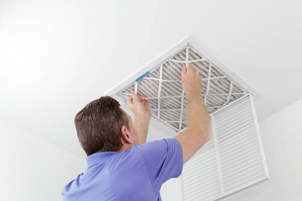 Best Commercial Air Duct Cleaning  in Vassar, MI
